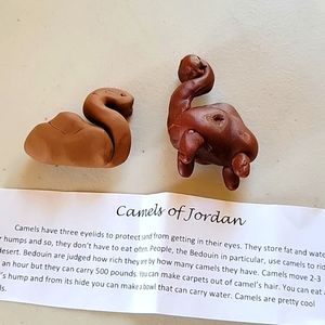 Handmade Pottery Camels of Jordan - 2